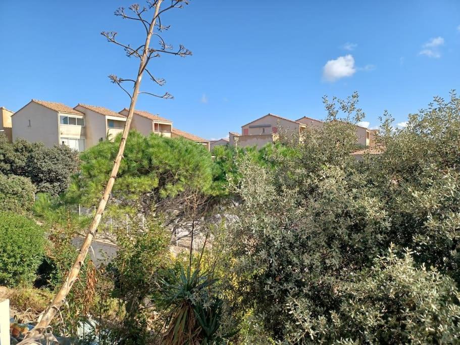Plain-Pied, Terrasse, Piscine, Pleine Vue Mer, Plage A 6' A Pied, Parking, Wifi Fleury  Luaran gambar